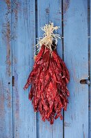 Detail of chili ristra hanging on closed door; Santa Fe; New Mexico; USA