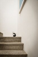 Terrazzo Steintreppe mit aufgemalter, schwarzer Katze an weisser Wand