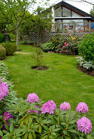 Garden with lawn and flowering rhododendron