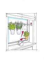 A rod in a window for hanging herbs
