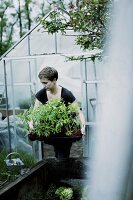 A woman with tomato plants in front of a greenhouse