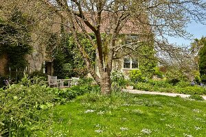 Wiese mit Baum im Garten eines alten, englischen Landhauses