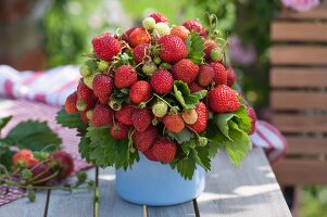 Bouquet of strawberries in pot