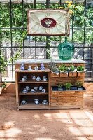 Antike Schubladenkommode mit Pflanzen und Porzellangeschirr in sonnigem Gewächshaus