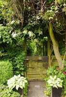 View through weathered garden gate into enchanting garden