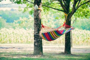 Striped hammock hanging in shade between two oak trees