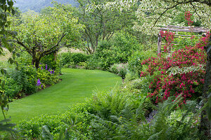 Idyllic garden with flowering shrubs and lawn path
