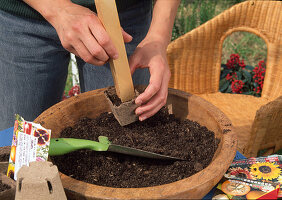 Sowing Summer Flowers - Lightly press the earth with wooden stick