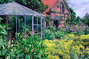 Greenhouse and bed with Alchemilla mollis (lady's mantle)