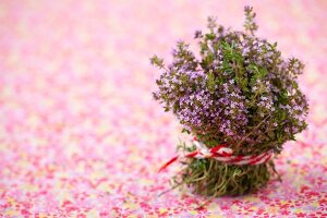 Bunch of fresh, flowering thyme on floral tablecloth