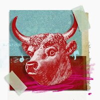 Montage of zodiac Taurus