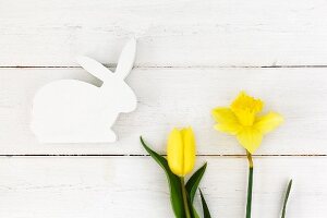 White wooden Easter bunny and yellow daffodil and tulip