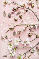 Branches of almond blossom, quail eggs and feathers on light pink background (top view)