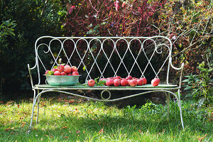 Gartenbank mit einer Schüssel roter Äpfel