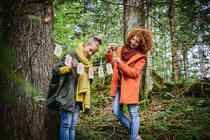 Mädchen und Frau hängen Herbstgirlande im Wald auf