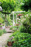 Paved path in the garden with roses and perennials