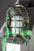 DIY Halloween decoration: skull in cage