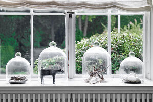Decorative objects under glass bell jars on the windowsill