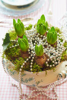 Hyacinths planted in soup tureen and decorated with moss and bead necklaces