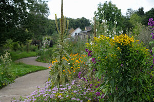 Sensory garden in Papendorf, Germany: goldenrod, mullein, mallow, pot marigolds