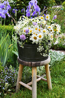 Bouquet of spring marguerite daisies, Knautia, grass, and Caraway on a stool in the garden