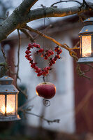 Heart-shaped wreath of rose hips with apple hanging from branch in garden