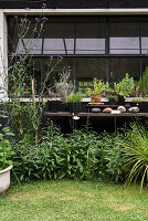 Garten mit Pflanzentisch vor Fenster