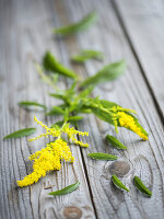 Goldenrod on a wooden surface