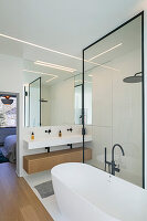 Glass partition between free-standing bathtub and shower area in bathroom
