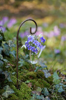 Posy of liverwort and snowdrops hung in a small bottle