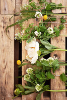 Tableau of ingredients: peonies, viburnum, feverfew, switch grass and drumstick flowers
