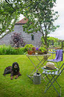 Sitzplatz mit Hund auf Rasenfläche im Garten