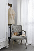 Jabot on a dressmaker's dummy and baroque upholstered chair