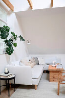 Bright attic living room with white sofa and monstera plant