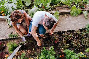 Couple planting while crouching in vegetable garden