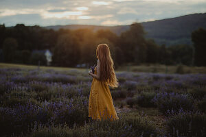 Side view of gentle female with flowers in hand standing in blooming lavender field and enjoying nature while looking away