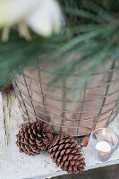 Basket and fir cones with candle on a shabby chair