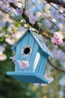 Bird nesting box hanging from flowering tree