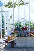 Vegetables and flowers on a concrete table in front of the greenhouse