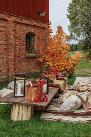 Low picnic table and kilim rug with cushions in autumn garden