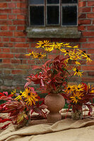 Autumn coloured wild vine and coneflower on picnic table in garden