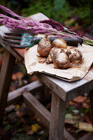 Flower bulbs and garden tools on a rustic wooden stool