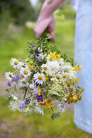A woman holding a bouquet of meadow flowers in her hand