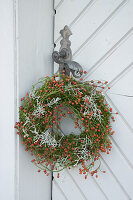 Wreath of moss, calecephalus and rose hips