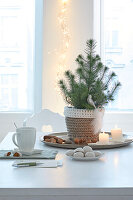 Small Christmas tree in a pot on a tray with candles and nuts