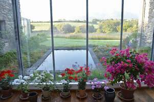 Conservatory with flowers and view of a pond and countryside