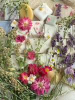 Scented herbs on soaps