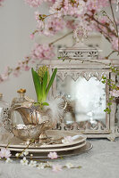 Hyacinth in silver sauce boat, in the background cherry branches