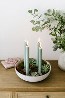 DIY candle tray with cones and succulents for Advent