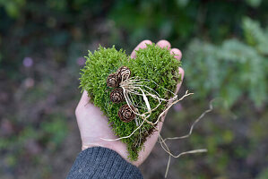 Moss heart decorated with larch cones